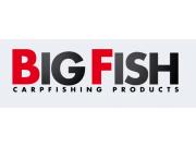 Plumbi Big Fish Italia