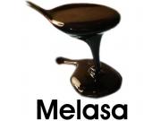 Melasa